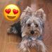 Shauna Shanny Sterling - Facebook