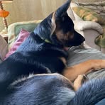 Shauna Traylor - Facebook