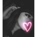 Shauna Watson - Facebook