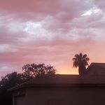 Shauna Weaver - @shauna.weaver.50 - Instagram