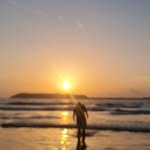 Shaurya Malik - @_shauryamalik4 - Instagram