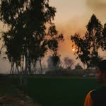 SHAURYA MALIK - @shauryamalik58 - Instagram