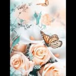 Shaw Mohamed - @shaw.mohamed.92 - Instagram
