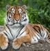 Shawanda Thomas - Facebook