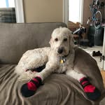 Shawn Alfrey - @shawnalfrey - Instagram