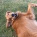 Shawn Allman - Facebook