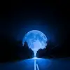 Shawnn Applegate - @shawnnapplegate - TikTok