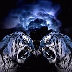 Shawn Appleman - Facebook