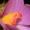 shawnargaylet - @shawnargaylet - TikTok