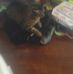 Shawn Artz - Facebook