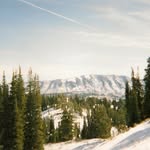 Shawn Ashby - @comesrunning70 - Instagram