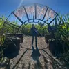 shawn ashby - @shawnashby03 - TikTok