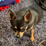 Shawn Atwell - @shawnarwell - Instagram