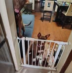 Shawn Baker - Facebook