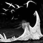 Shain Bacus - Facebook