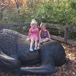 Shawn Hill - @shawn.bare.75 - Instagram
