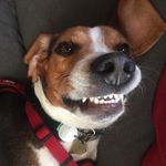Shawn Bateman - @chumlee17872 - Instagram