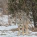 Shawn Bateman - Facebook