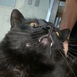 Shaun Bauer - @shaunbauer - Instagram