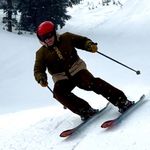Shawn Bauer - @tshawnbauer - Instagram