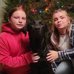Shawn Bauman - @shawnbauman - Instagram