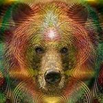Shawn Bear - @shawn.bear.7921 - Instagram
