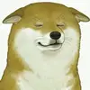 Shawn_Bear - @shawn_bear3 - TikTok