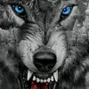daeshawnbeecher - @daeshawnbeecher - TikTok