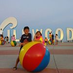 Shawn Beecher - @papa_beecher - Instagram