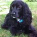 Shawn Berger - Facebook