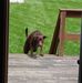 Shawn Berger - Facebook