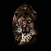 shawn berger - @shawn0732 - TikTok
