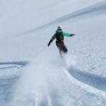 Shawn Bibb - @shawn_bibb - Instagram