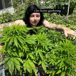 Shawn Blaze - @shawntrellblazer - Instagram