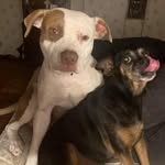 Randy Owen - @shawnblocker9058 - Instagram