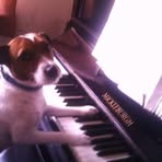 Shawn Board - Facebook