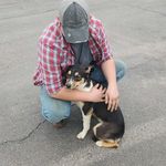 Shawn Bone - @shawnbone4 - Instagram