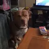 shawnboss77 - @shawnboss77 - TikTok