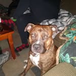 Shawn Bostick - @bostick.shawn - Instagram