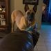 Shawn Boynton - Facebook
