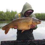 Shawn Brewer - @shawn.brewer - Instagram