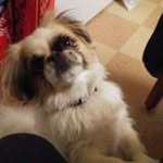 Shawn Broughton - @broughtonshawn - Instagram