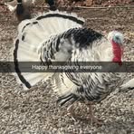 Shawn Broughton - Facebook