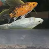 Shawn Broughton - @shawn.broughton7 - TikTok