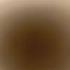 Shawn Brunner - @1243akhi - TikTok