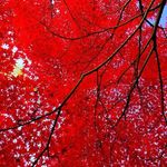 Shawn_ Bryan - @shawn_bryan55 - Instagram