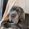 shawnbryan57 - @shawnbryan57 - TikTok