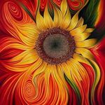 Shawn Burden - @shawnburden - Instagram