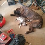 Shawn Button - @shawn_button2002 - Instagram