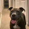 shawn.fjordbotten - @shawn.button - TikTok